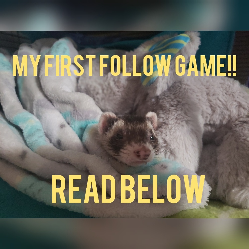 Follow game ❤❤❤